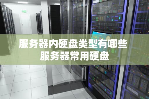 服务器内硬盘类型有哪些 服务器常用硬盘