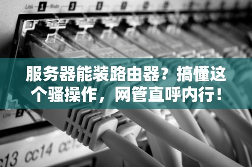 服务器能装路由器？搞懂这个骚操作，网管直呼内行！