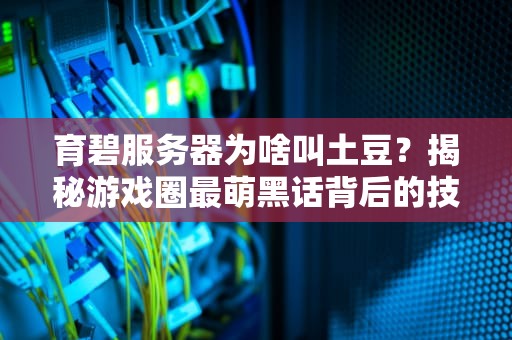 育碧服务器为啥叫土豆？揭秘游戏圈最萌黑话背后的技术真相！