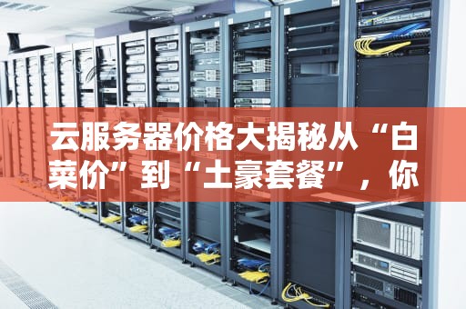 云服务器价格大揭秘从“白菜价”到“土豪套餐”，你该Pick哪一款？