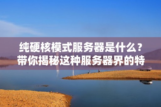 纯硬核模式服务器是什么？带你揭秘这种服务器界的特种兵