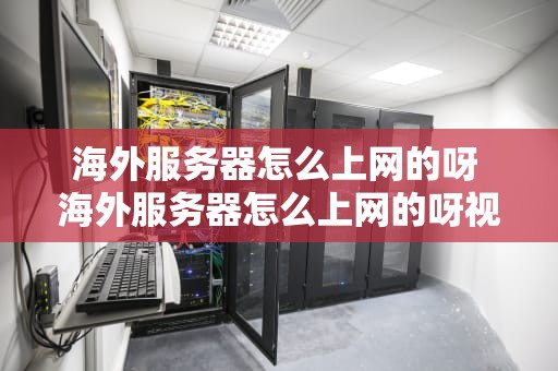 海外服务器怎么上网的呀 海外服务器怎么上网的呀视频