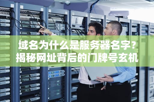 域名为什么是服务器名字？揭秘网址背后的门牌号玄机