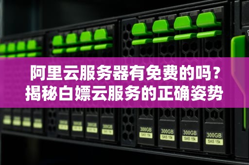 阿里云服务器有免费的吗？揭秘白嫖云服务的正确姿势！