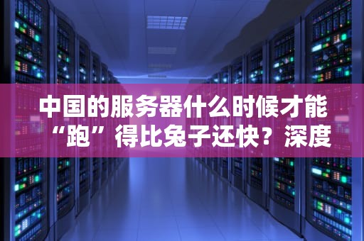中国的服务器什么时候才能“跑”得比兔子还快？深度解析国内服务器性能现状与未来
