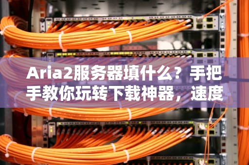 Aria2服务器填什么？手把手教你玩转下载神器，速度起飞不是梦！