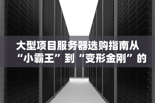 大型项目服务器选购指南从“小霸王”到“变形金刚”的终极进化论