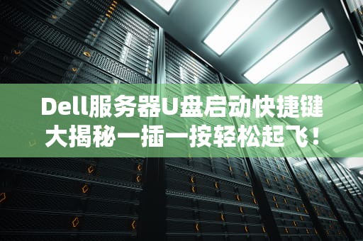 Dell服务器U盘启动快捷键大揭秘一插一按轻松起飞！