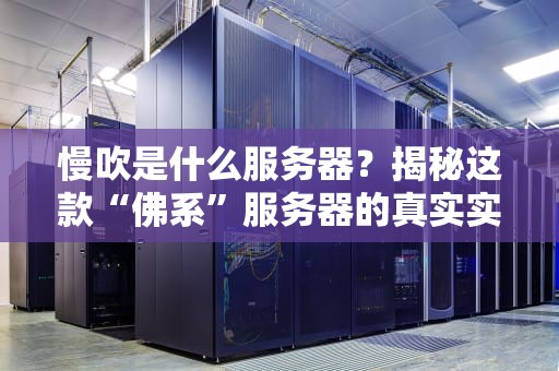 慢吹是什么服务器？揭秘这款“佛系”服务器的真实实力！