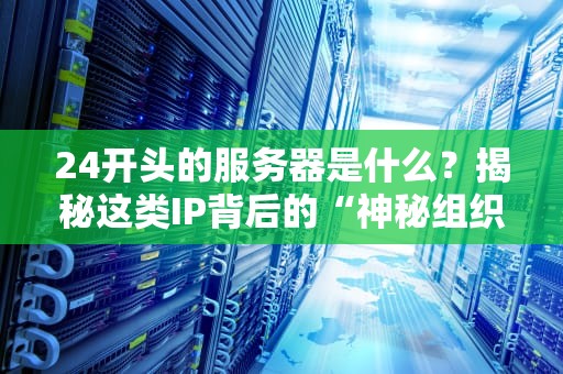 24开头的服务器是什么？揭秘这类IP背后的“神秘组织”与实战选型指南