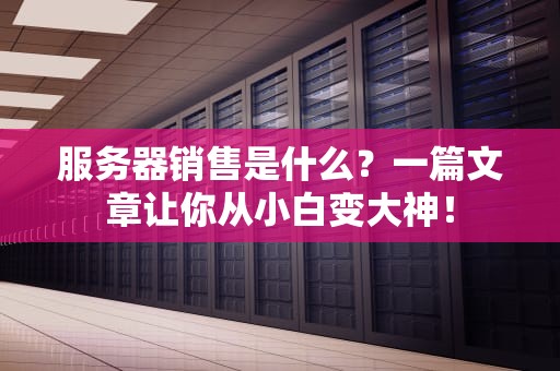 服务器销售是什么？一篇文章让你从小白变大神！