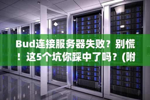 Bud连接服务器失败？别慌！这5个坑你踩中了吗？(附终极解决方案)