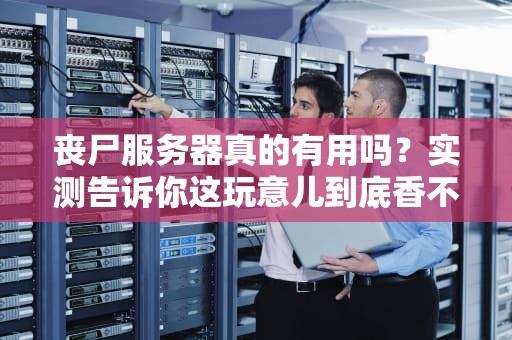 丧尸服务器真的有用吗？实测告诉你这玩意儿到底香不香！
