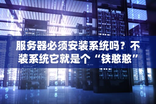 服务器必须安装系统吗？不装系统它就是个“铁憨憨”！