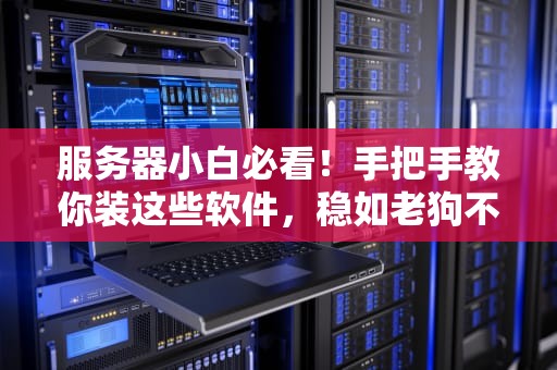 服务器小白必看！手把手教你装这些软件，稳如老狗不翻车