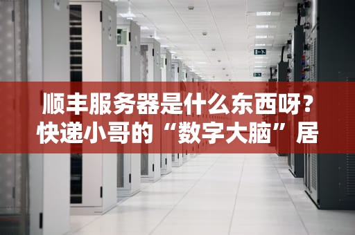 顺丰服务器是什么东西呀？快递小哥的“数字大脑”居然这么牛！