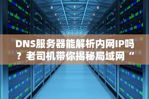 DNS服务器能解析内网IP吗？老司机带你揭秘局域网“导航仪”的骚操作！