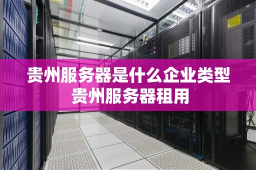 贵州服务器是什么企业类型 贵州服务器租用