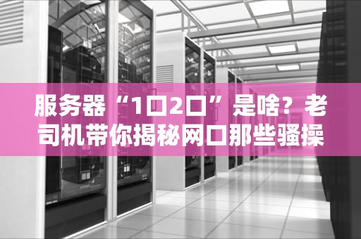 服务器“1口2口”是啥？老司机带你揭秘网口那些骚操作！