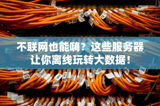 不联网也能嗨？这些服务器让你离线玩转大数据！