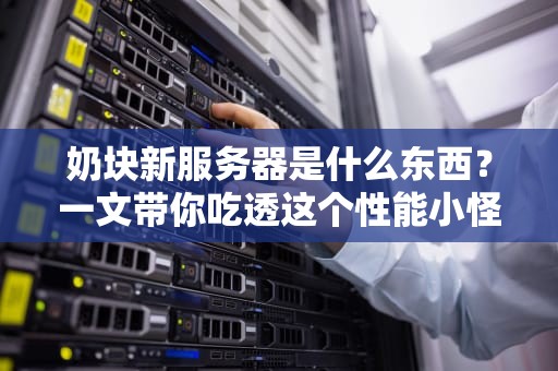 奶块新服务器是什么东西？一文带你吃透这个性能小怪兽！