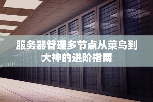 服务器管理多节点从菜鸟到大神的进阶指南