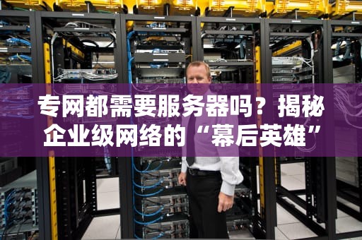 专网都需要服务器吗？揭秘企业级网络的“幕后英雄”