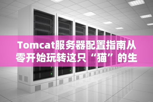 Tomcat服务器配置指南从零开始玩转这只“猫”的生存环境