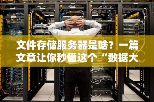 文件存储服务器是啥？一篇文章让你秒懂这个“数据大仓库”！