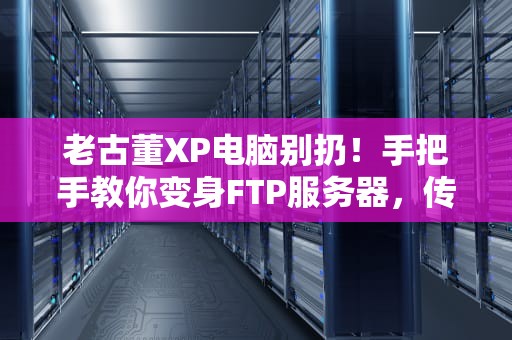 老古董XP电脑别扔！手把手教你变身FTP服务器，传文件比U盘还溜！