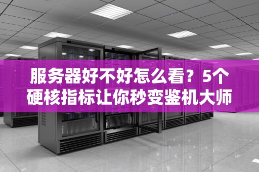 服务器好不好怎么看？5个硬核指标让你秒变鉴机大师！