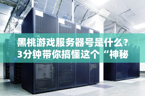 黑桃游戏服务器号是什么？3分钟带你搞懂这个“神秘代码”的玄机！