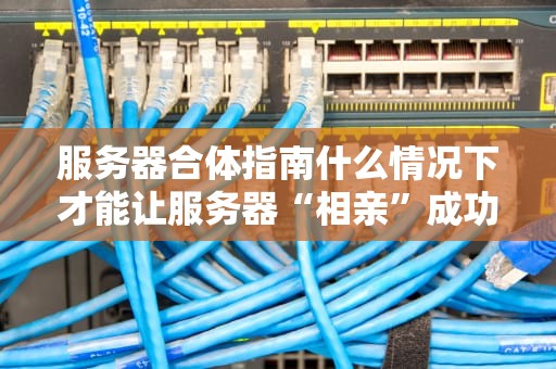 服务器合体指南什么情况下才能让服务器“相亲”成功？