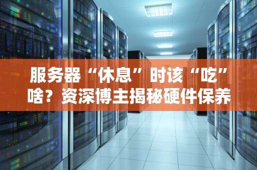 服务器“休息”时该“吃”啥？资深博主揭秘硬件保养的终极奥义！