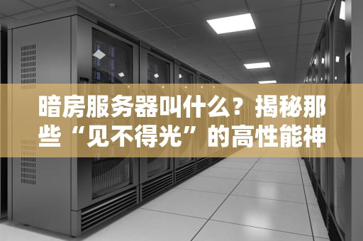暗房服务器叫什么？揭秘那些“见不得光”的高性能神器！