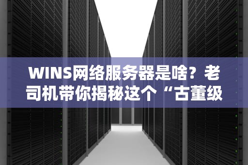 WINS网络服务器是啥？老司机带你揭秘这个“古董级”的IP翻译官！