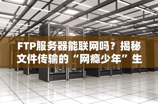 FTP服务器能联网吗？揭秘文件传输的“网瘾少年”生存指南
