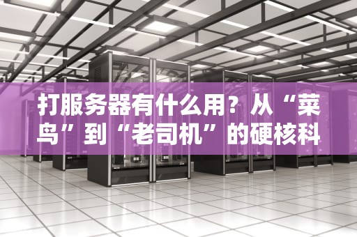打服务器有什么用？从“菜鸟”到“老司机”的硬核科普指南！
