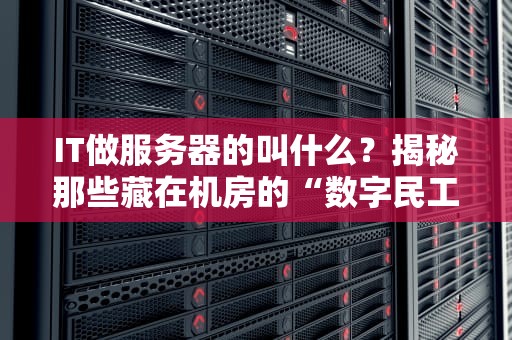 IT做服务器的叫什么？揭秘那些藏在机房的“数字民工”日常