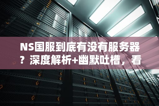NS国服到底有没有服务器？深度解析+幽默吐槽，看完秒懂！