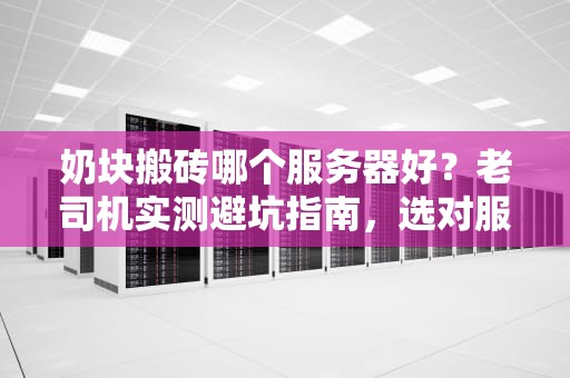 奶块搬砖哪个服务器好？老司机实测避坑指南，选对服日赚10W金币！