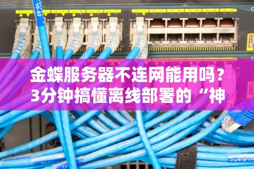 金蝶服务器不连网能用吗？3分钟搞懂离线部署的“神操作”！