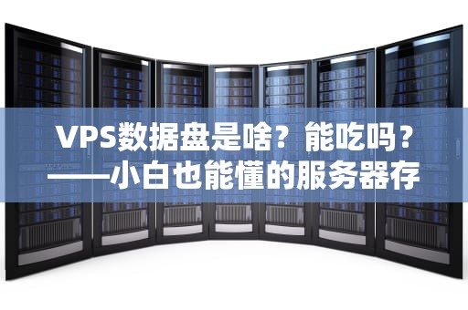 VPS数据盘是啥？能吃吗？——小白也能懂的服务器存储指南