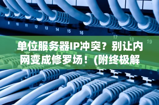 单位服务器IP冲突？别让内网变成修罗场！(附终极解决方案)
