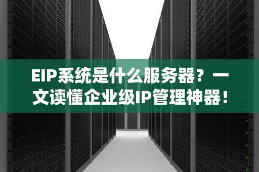 EIP系统是什么服务器？一文读懂企业级IP管理神器！