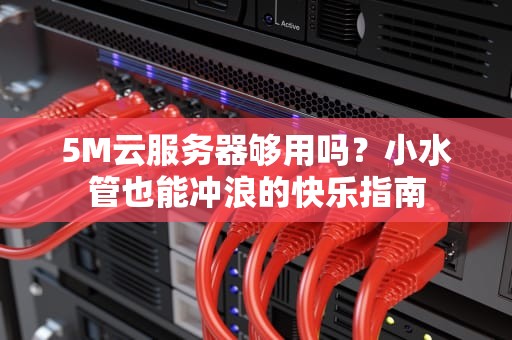 5M云服务器够用吗？小水管也能冲浪的快乐指南