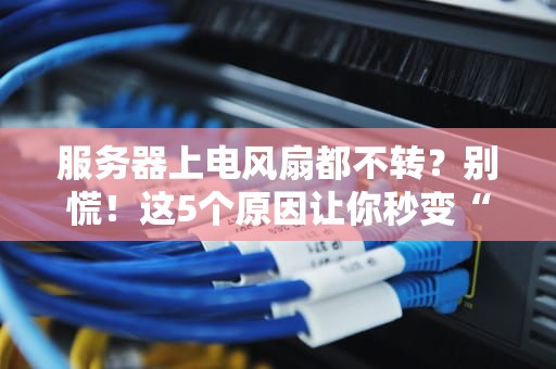 服务器上电风扇都不转？别慌！这5个原因让你秒变“散热专家”