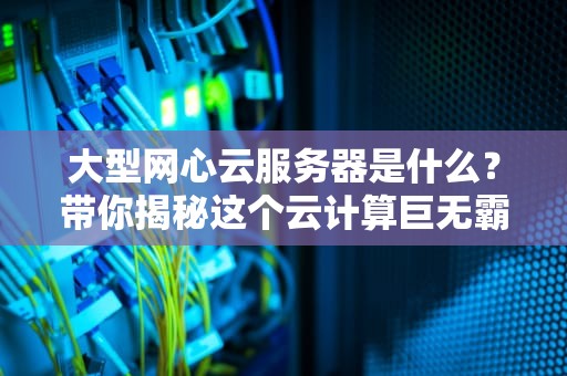 大型网心云服务器是什么？带你揭秘这个云计算巨无霸的硬核实力