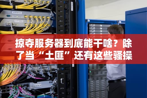 掠夺服务器到底能干啥？除了当“土匪”还有这些骚操作！
