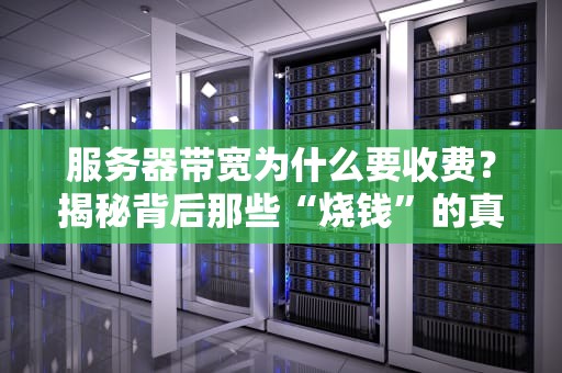 服务器带宽为什么要收费？揭秘背后那些“烧钱”的真相！